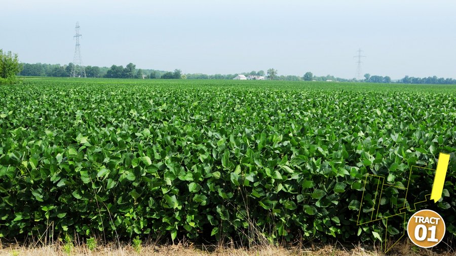 470 Acres Mostly Productive Tillable Land - 6 Tracts